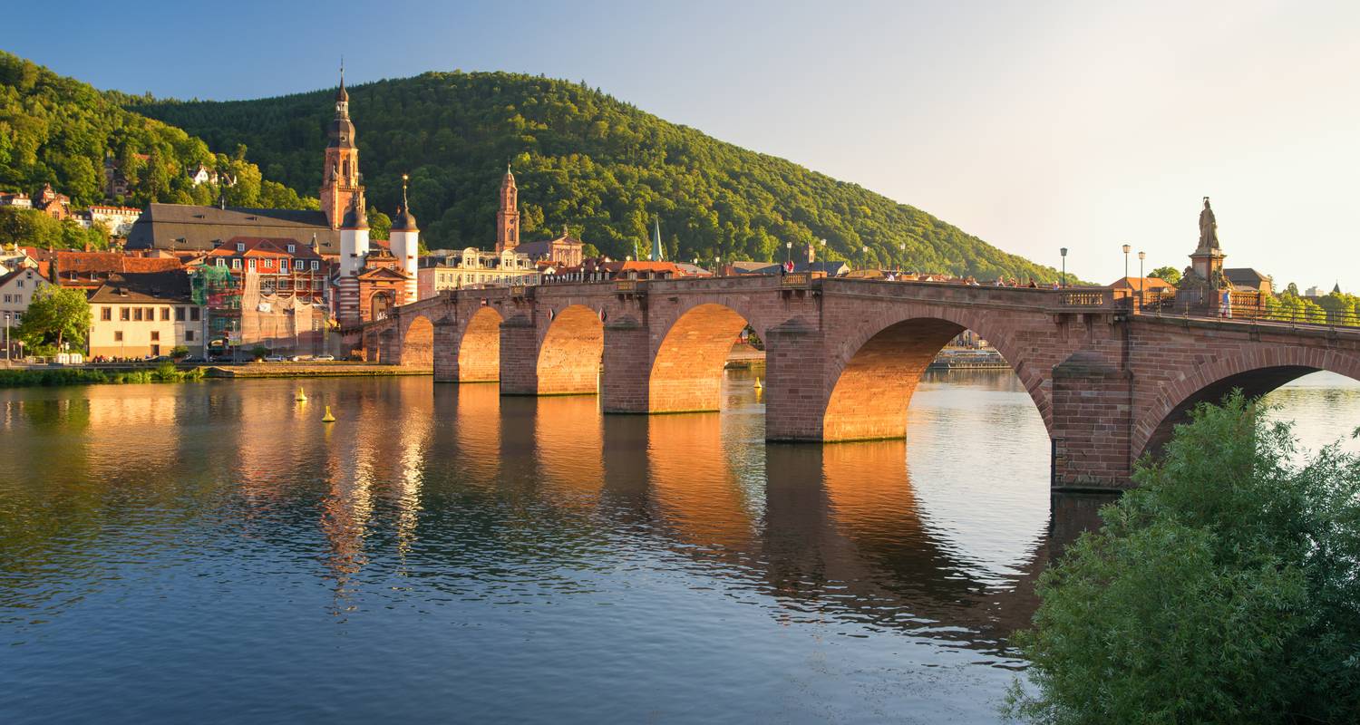 Festival de Cruceros: Leyendas, Fiestas y Delicias en el Romántico Río Rin - CroisiEurope River Cruises