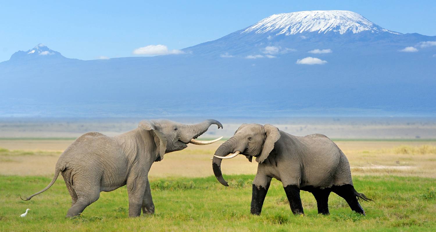 Circuits en Tanzanie et Ouganda