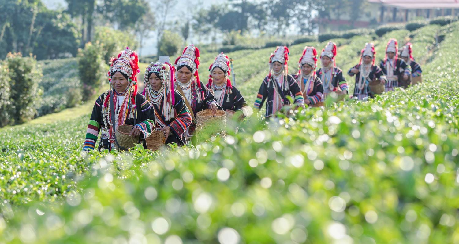 Norte de Tailandia Circuitos 7 Días
