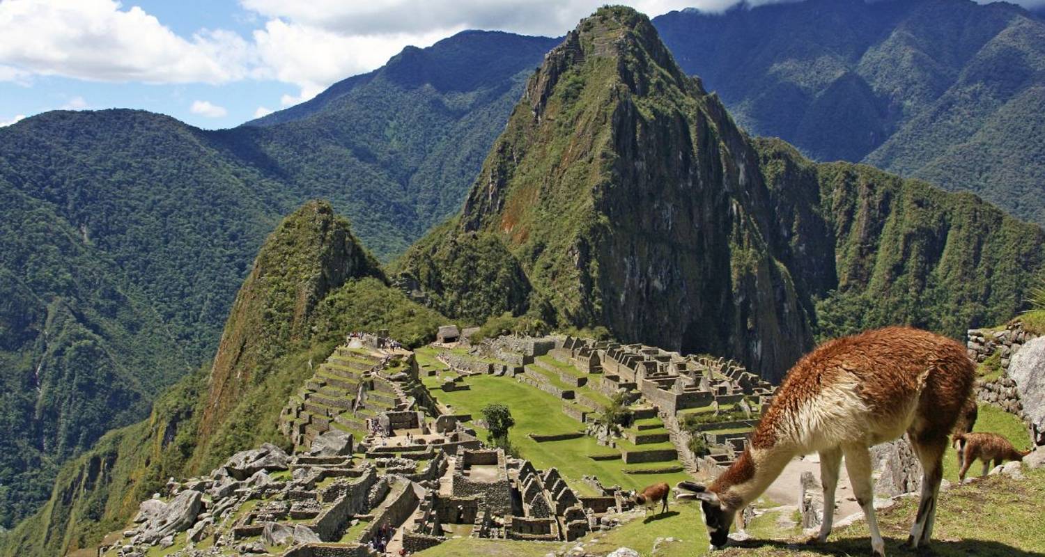 Highlights Between Machu Picchu and the Amazon Rainforest - DIAMIR Erlebnisreisen