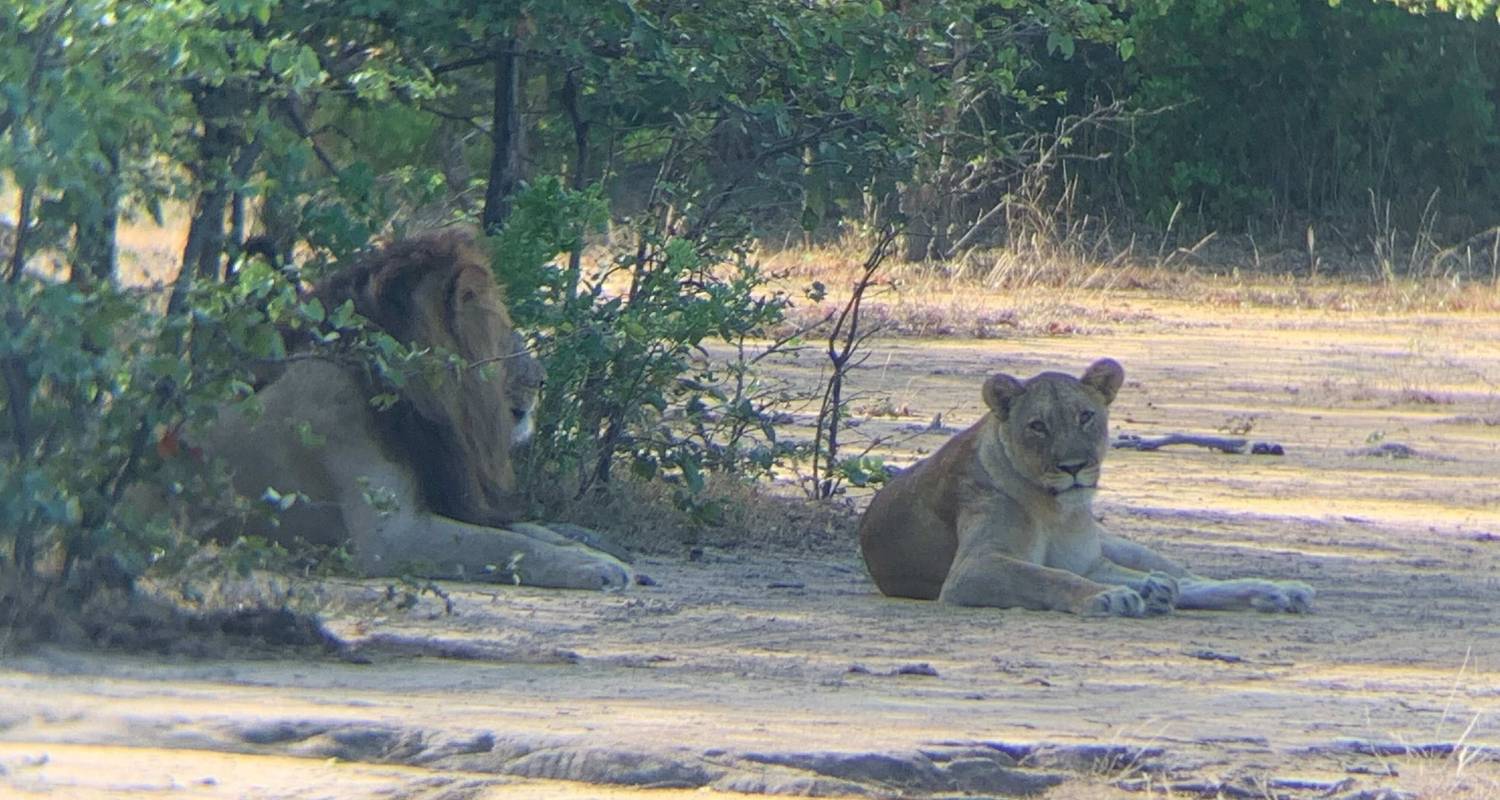 Malawi Rundreisen Kleingruppe