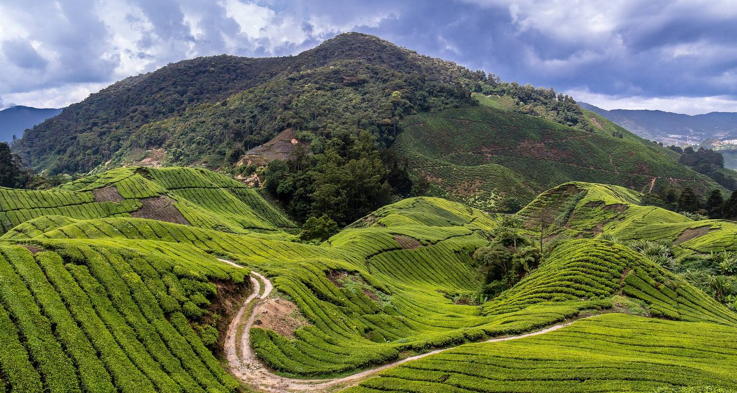Ronda Ronda : de Kuala Lumpur à Kuala Lumpur - Asian Overland Services Tours & Travel