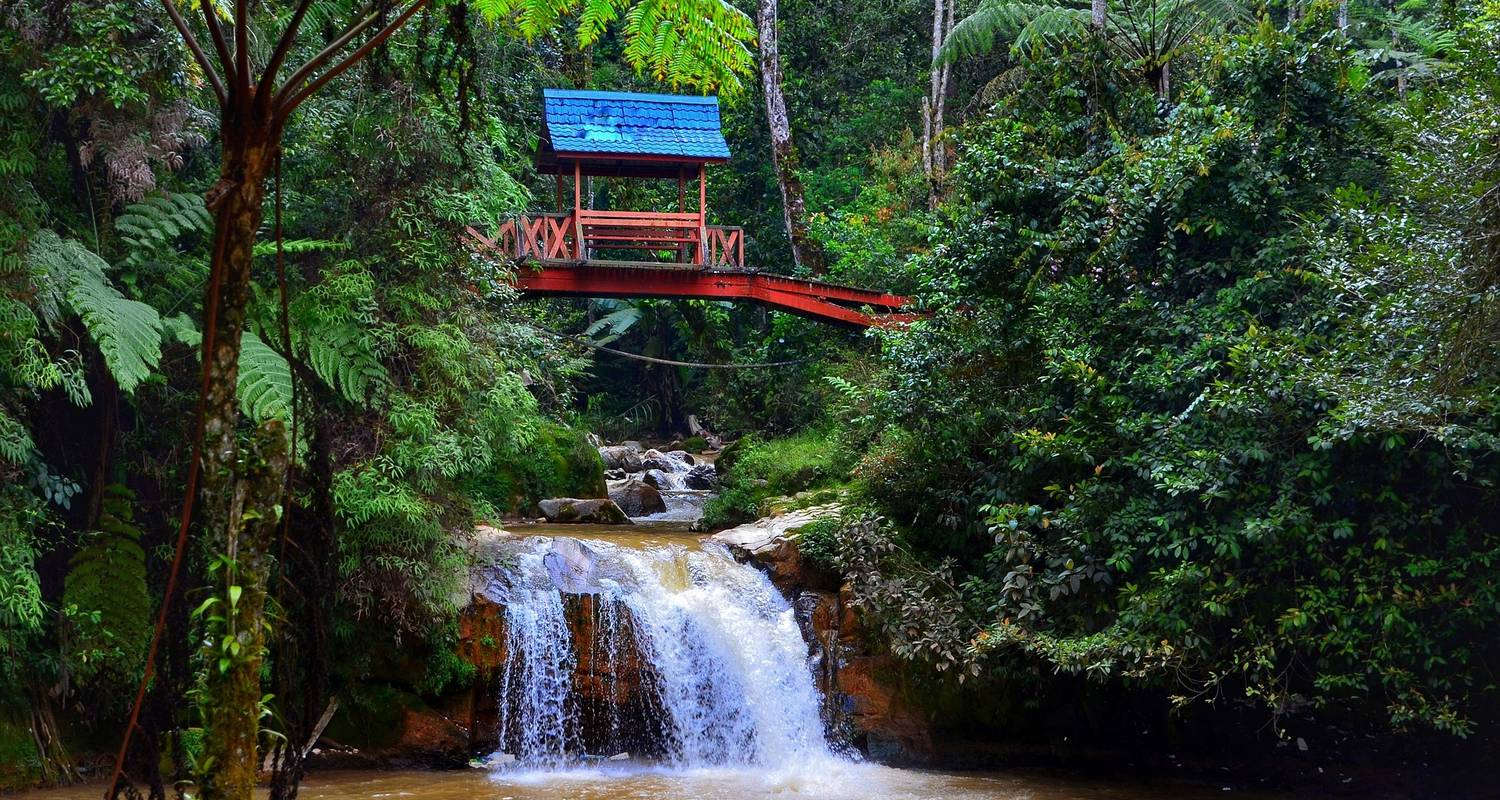 Ronda Ronda : de Kuala Lumpur à Penang - Asian Overland Services Tours & Travel