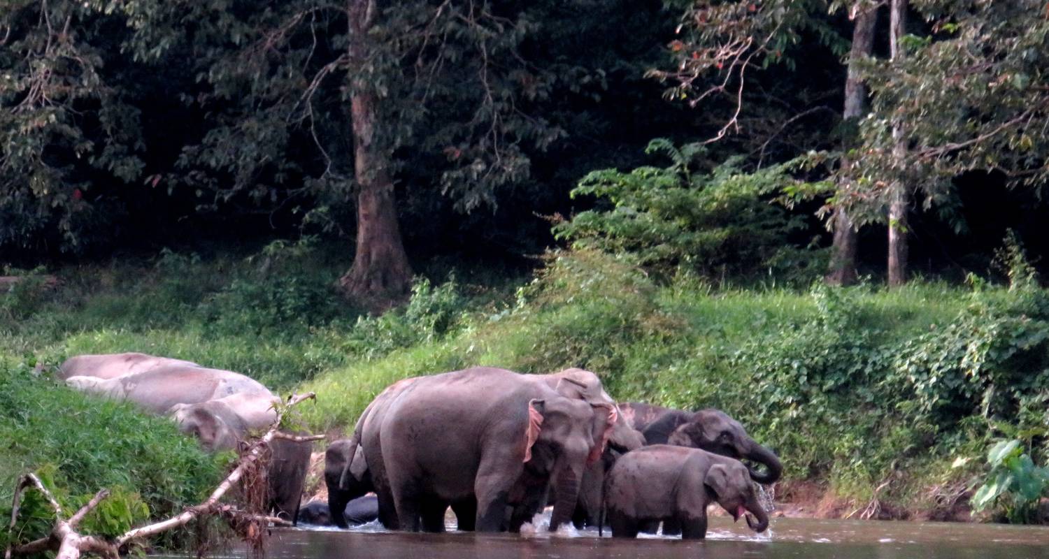 Ulu Muda : Un rendez-vous avec la nature - Asian Overland Services Tours & Travel