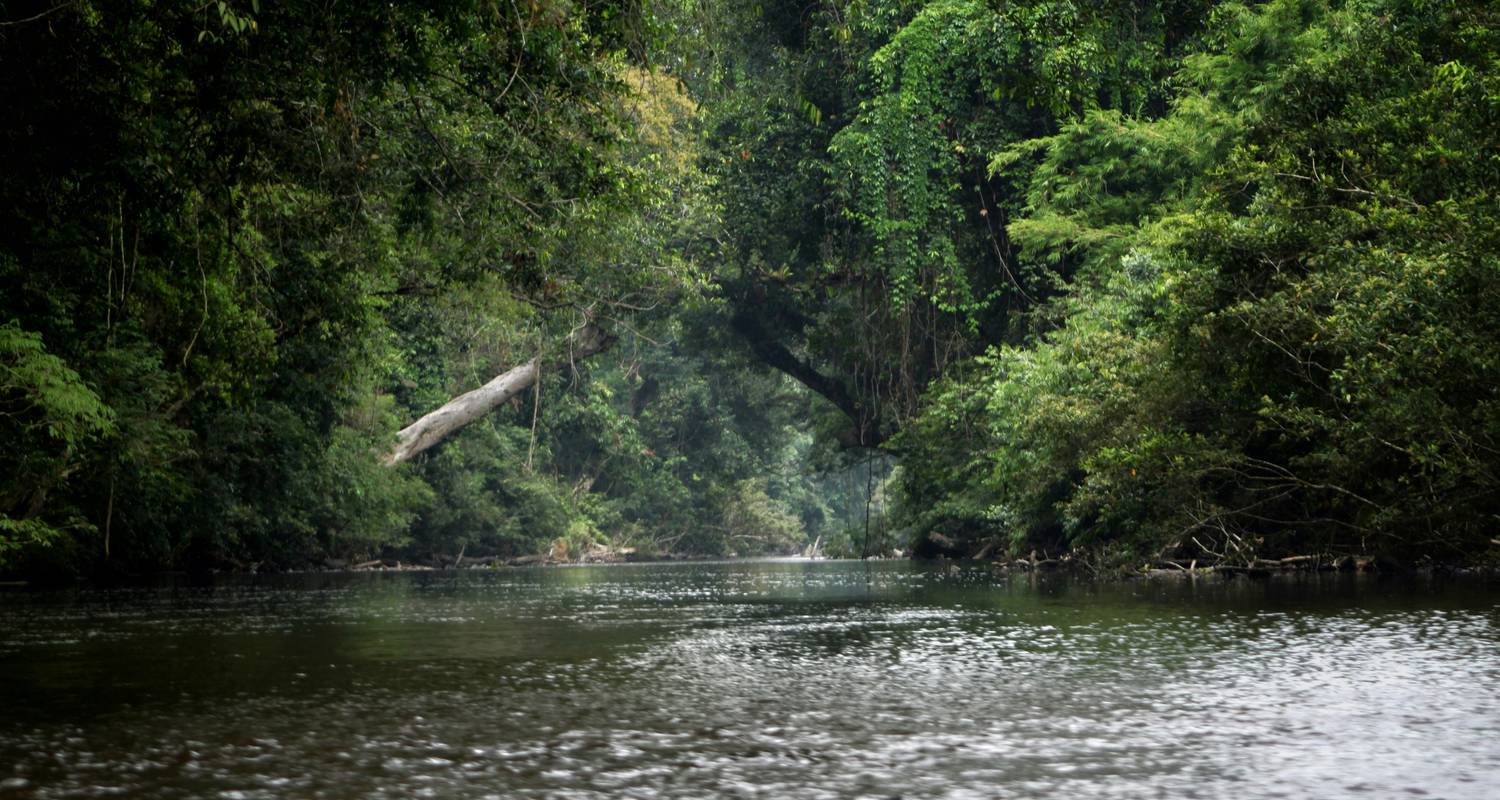L'essentiel de Taman Negara avec les Orang Asli 3Djours/ 2Nuits - Asian Overland Services Tours & Travel