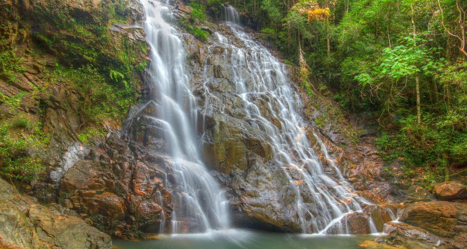Exploration de la forêt tropicale de Rompin - Asian Overland Services Tours & Travel