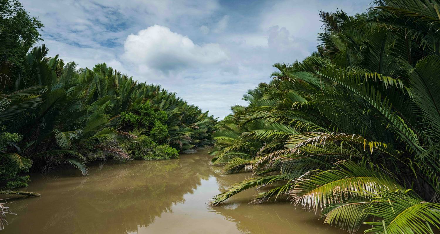 Secrets de Sarawak avec croisière dans la mangrove de Santubong - Asian Overland Services Tours & Travel