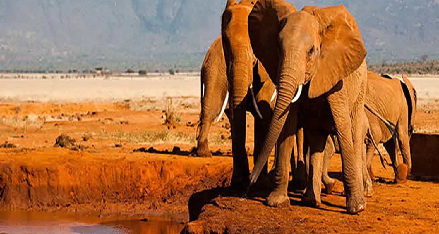 7 Days Kenya and Tanzania Safari - Great Lake Expedition