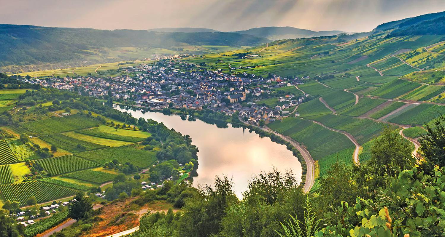 Châteaux et vignobles du Rhin et de la Moselle 2026 - 8 jours (from Francfort-sur-le-Main to Bâle) - Scenic Luxury Cruises & Tours