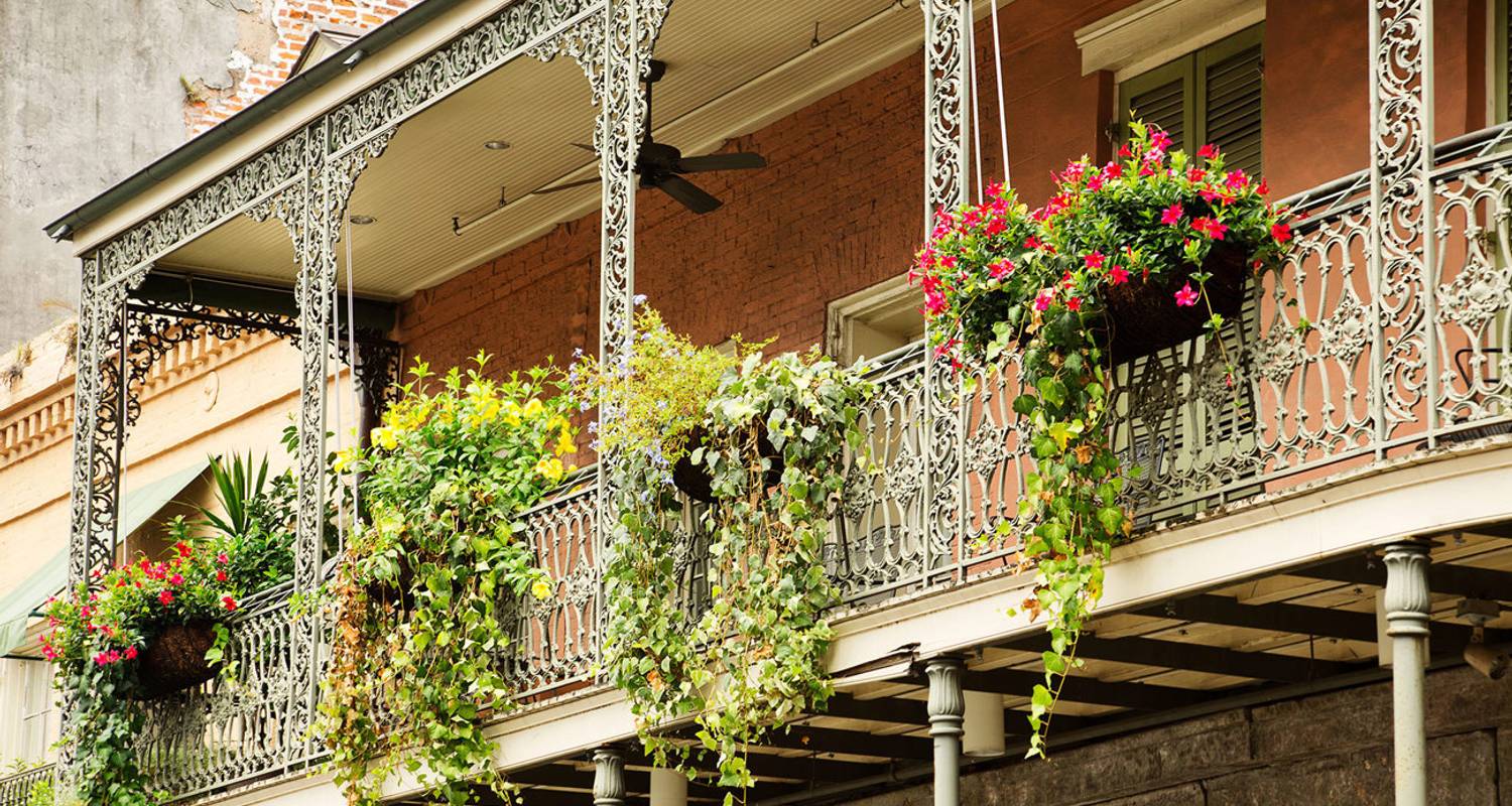 Country Roads of the Deep South, un circuit réservé aux femmes (petit groupe) - Insight Vacations