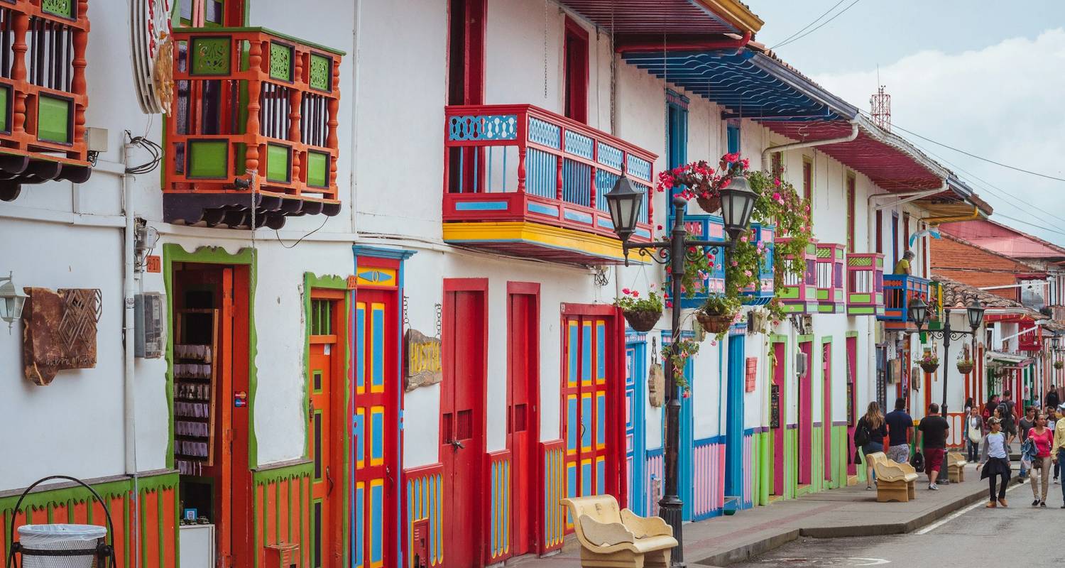 5 jours en Colombie : Café, nature et culture dans le Quindío - Responsible Travel South America