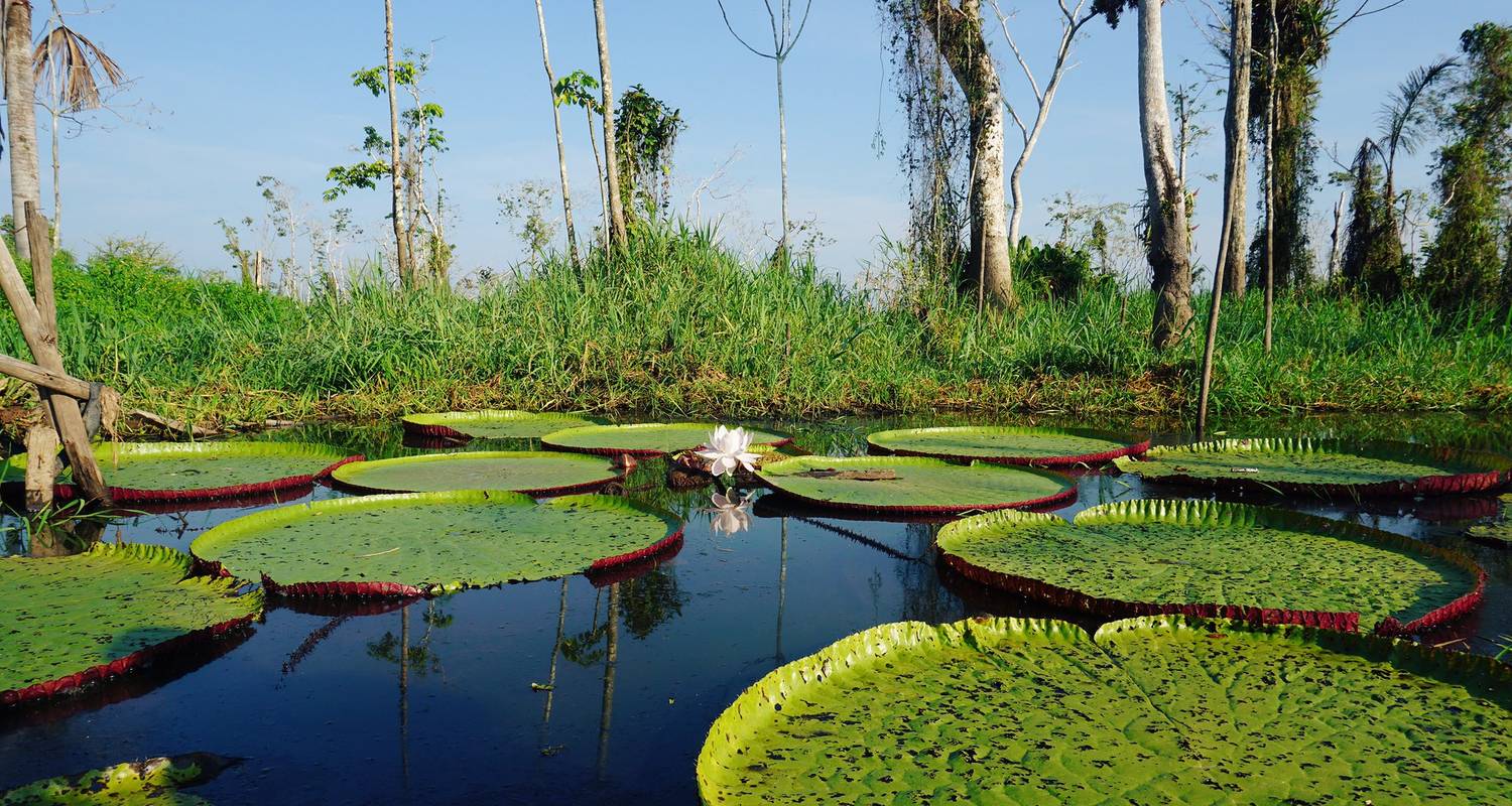 9 Days From Inca Ruins to the Rainforest - Responsible Travel South America
