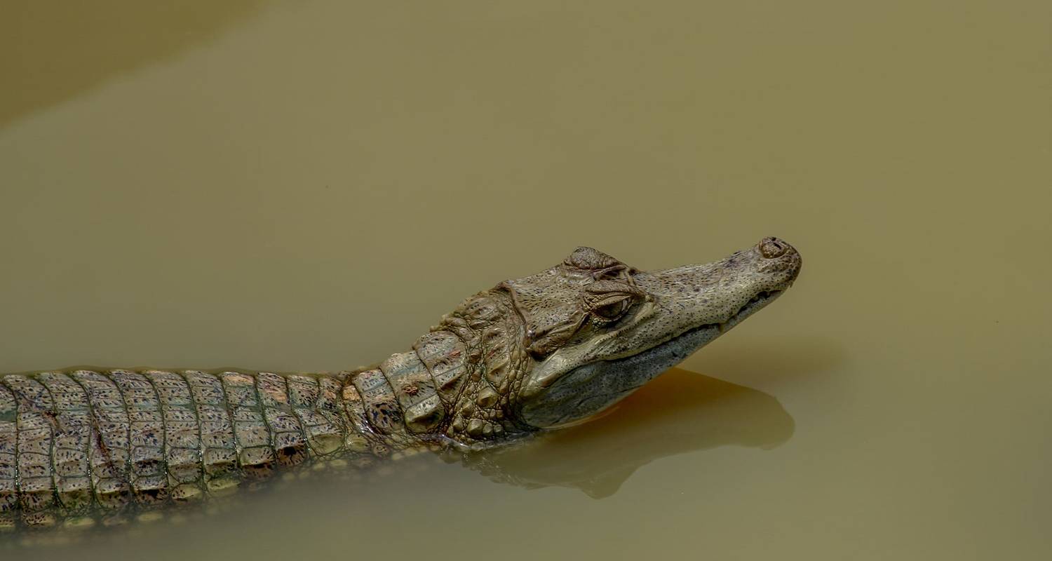 3 jours d'aventure dans la jungle amazonienne - Responsible Travel South America