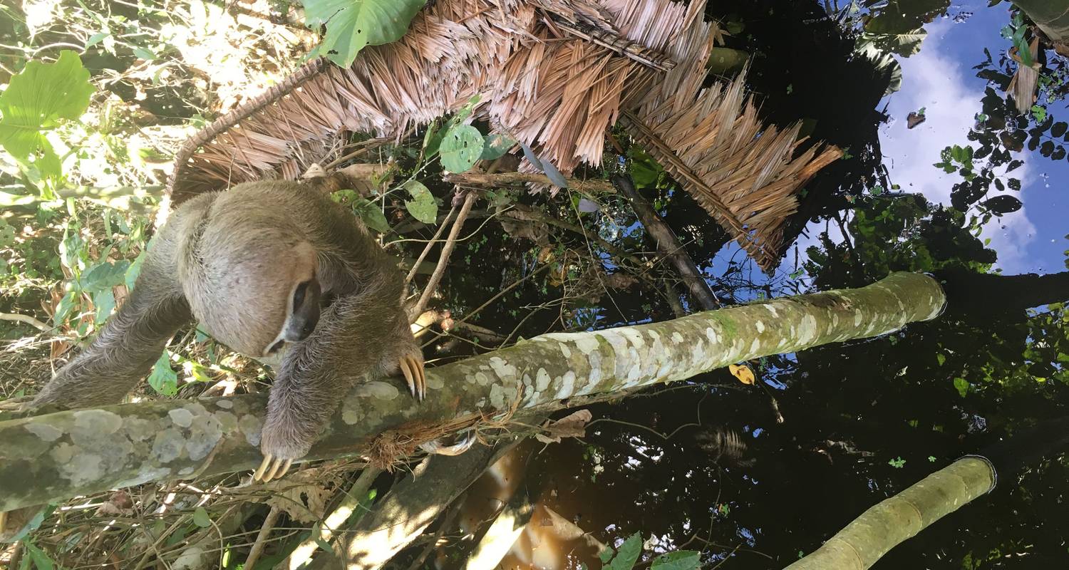 4 jours au cœur de la jungle - Responsible Travel South America