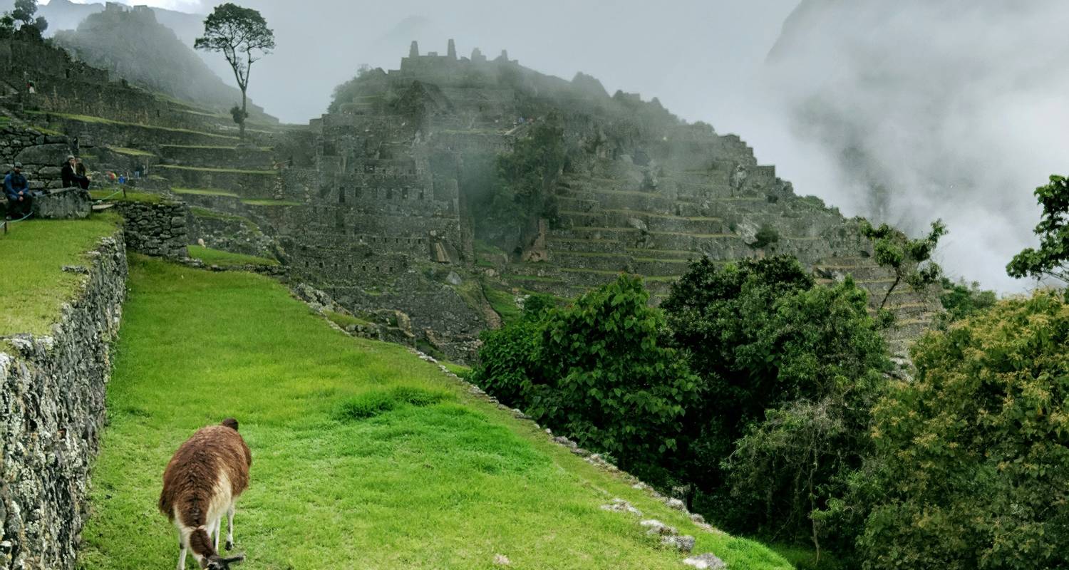 6 jours d'aventure sur le Chemin Inca jusqu'au Machu Picchu - Responsible Travel South America