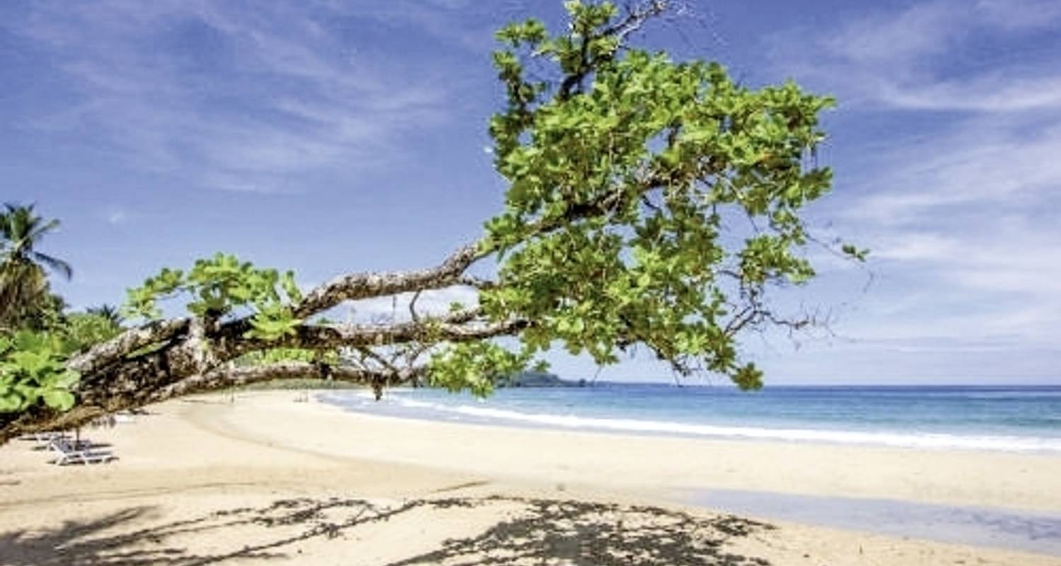 Panama on your own - drop-off in David and return flight to Panama City - DERTOUR