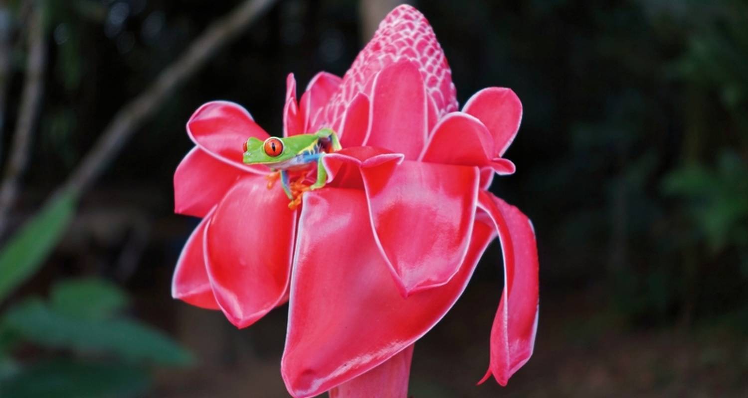 Costa Rica Busreisen