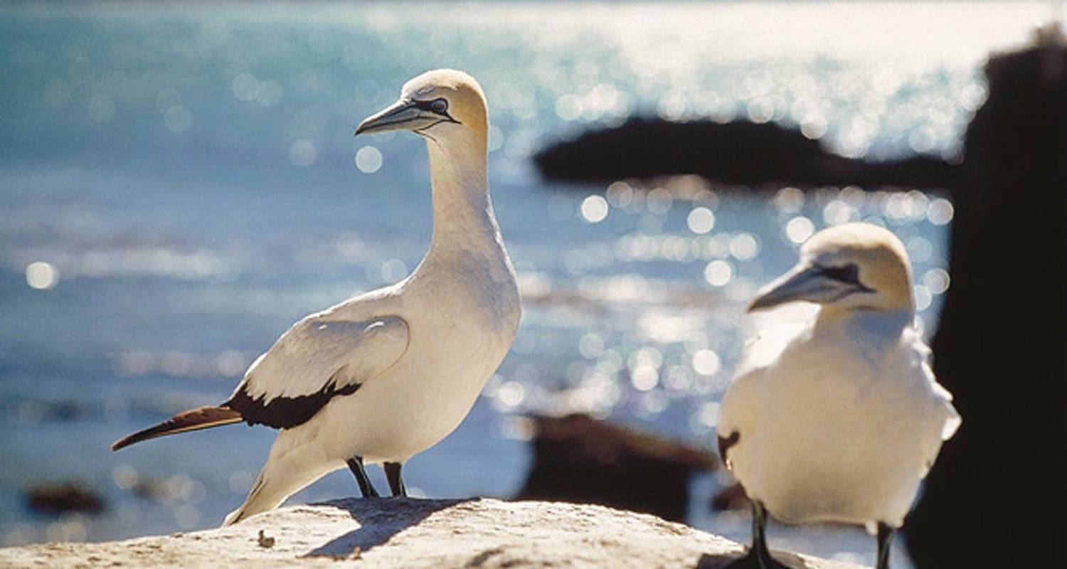Neuseeland Rundreisen Kleingruppe
