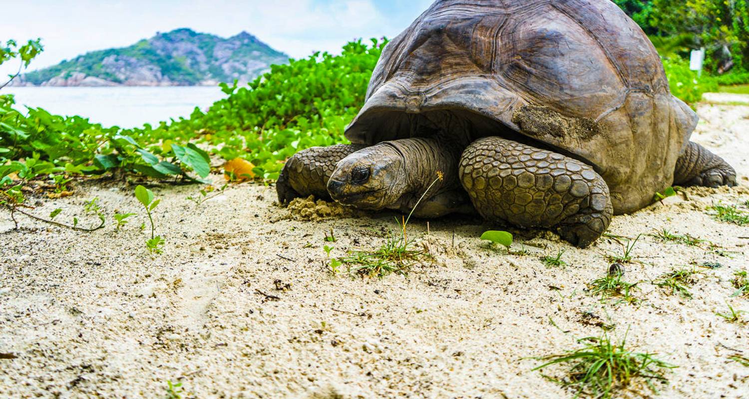 Seychellen rondreizen