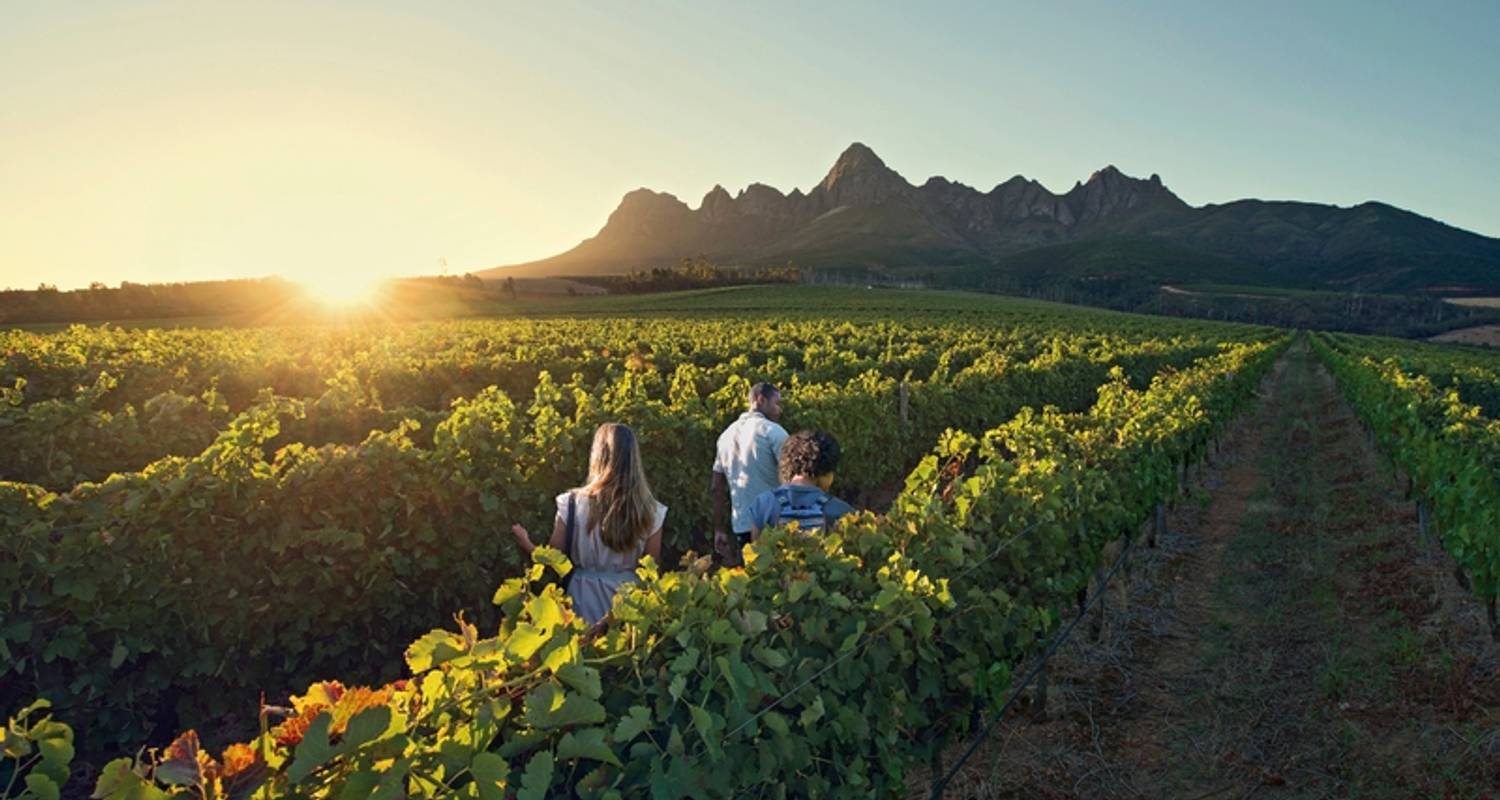 2-Week South Africa Tour Packages