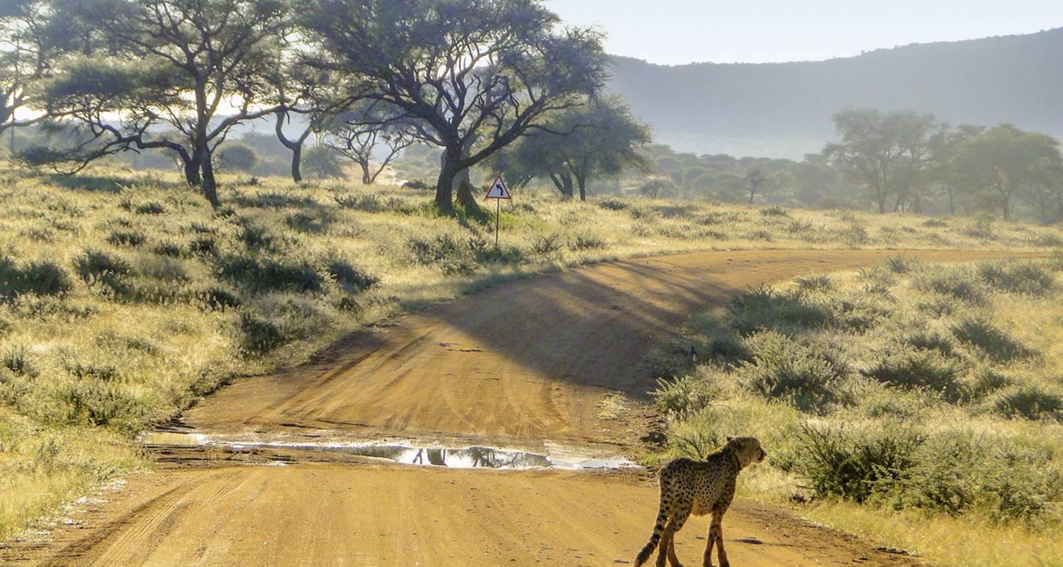 Namibia Rundreisen Selbstfahrer