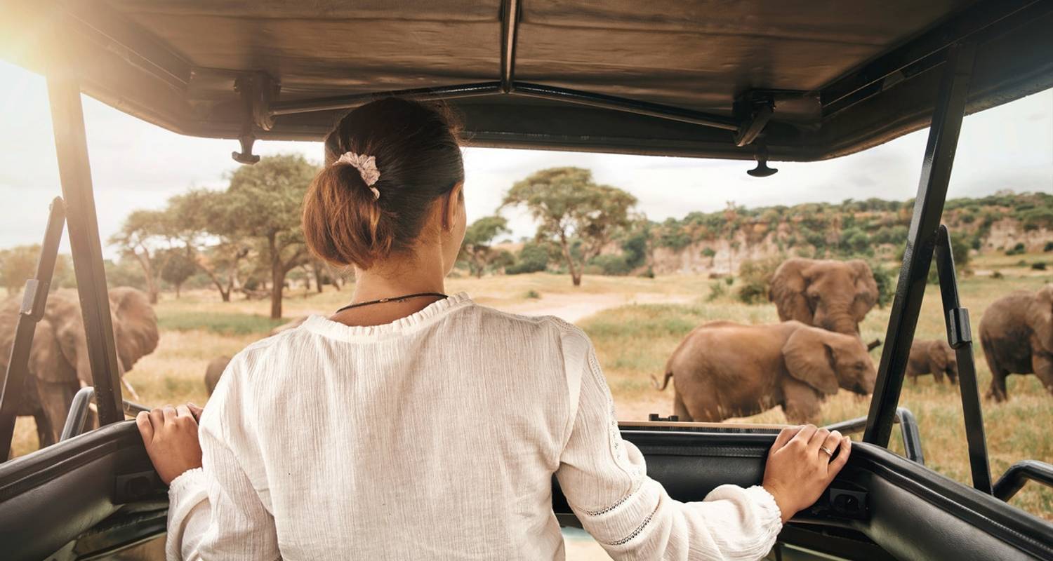 El gran safari de Kenia - DERTOUR