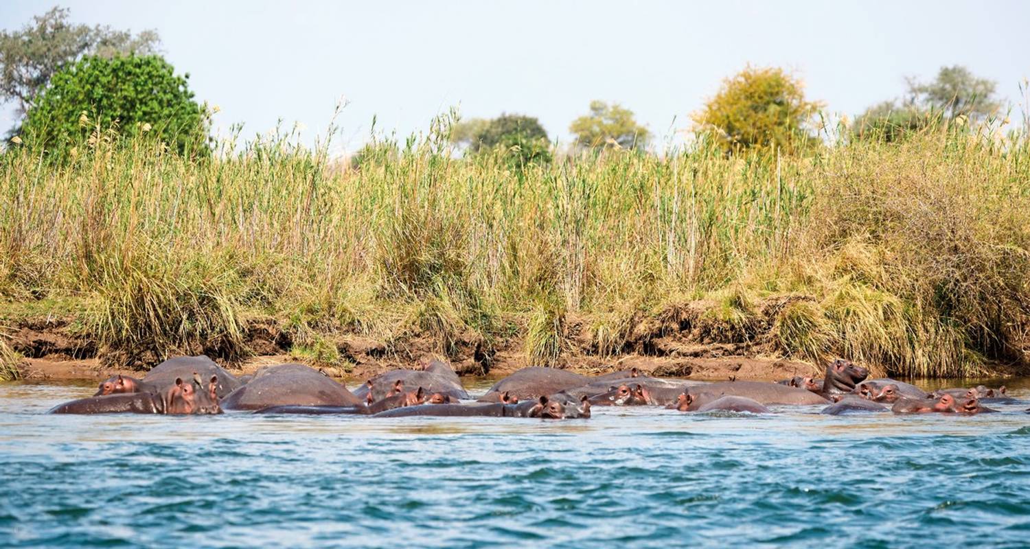 Safaris en Namibia y Zambia