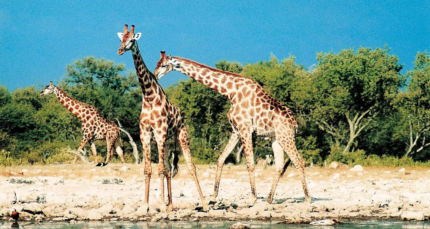 Namibie : Voyages culturels