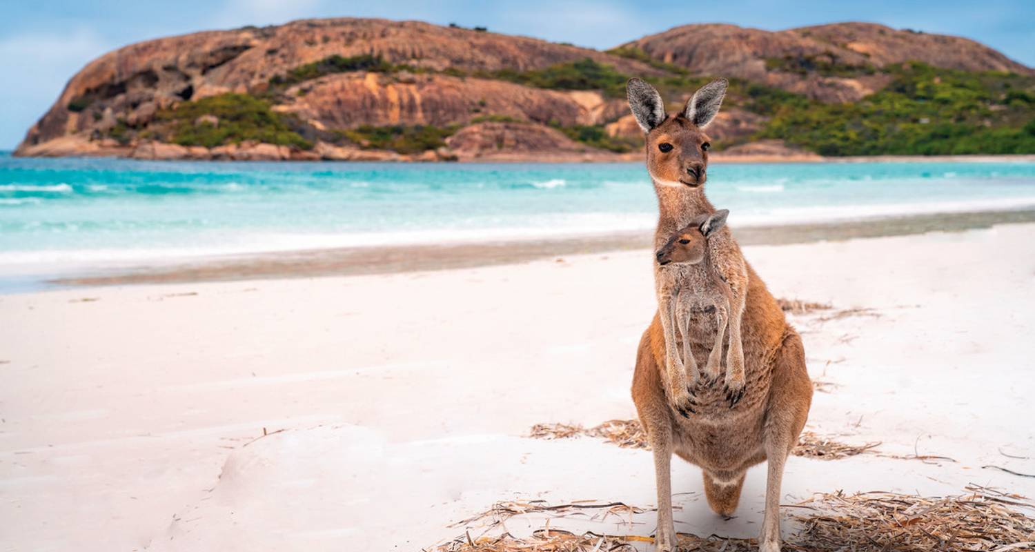 1-Month+ Australia Tour Packages