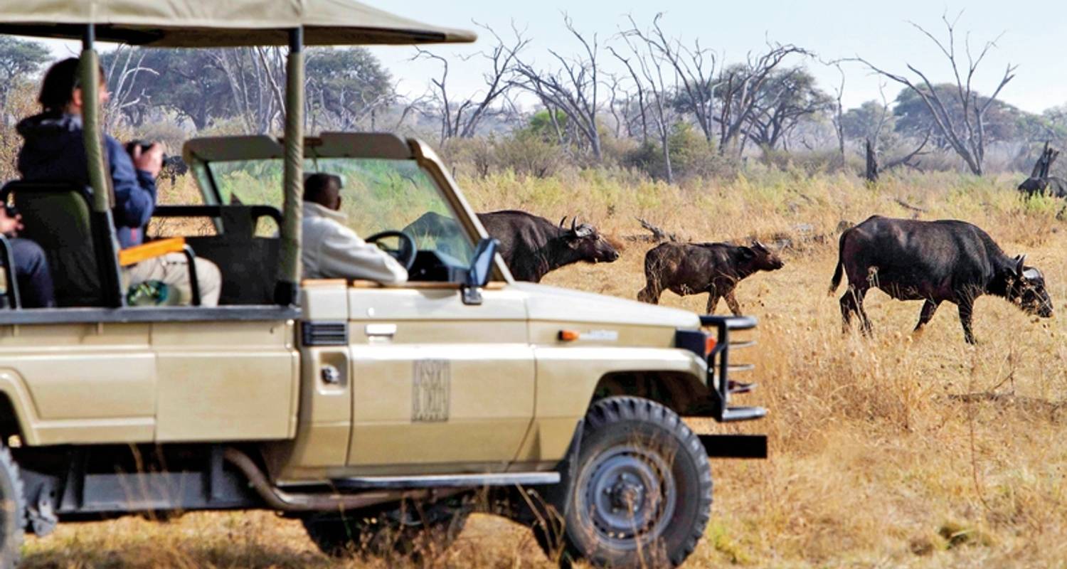 Singlereisen in Botswana