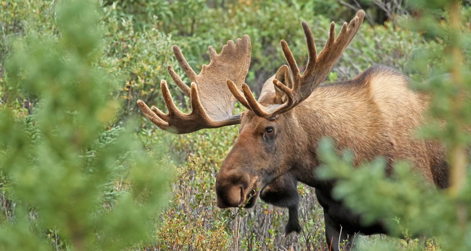 2-Week Norway and Sweden Tour Packages