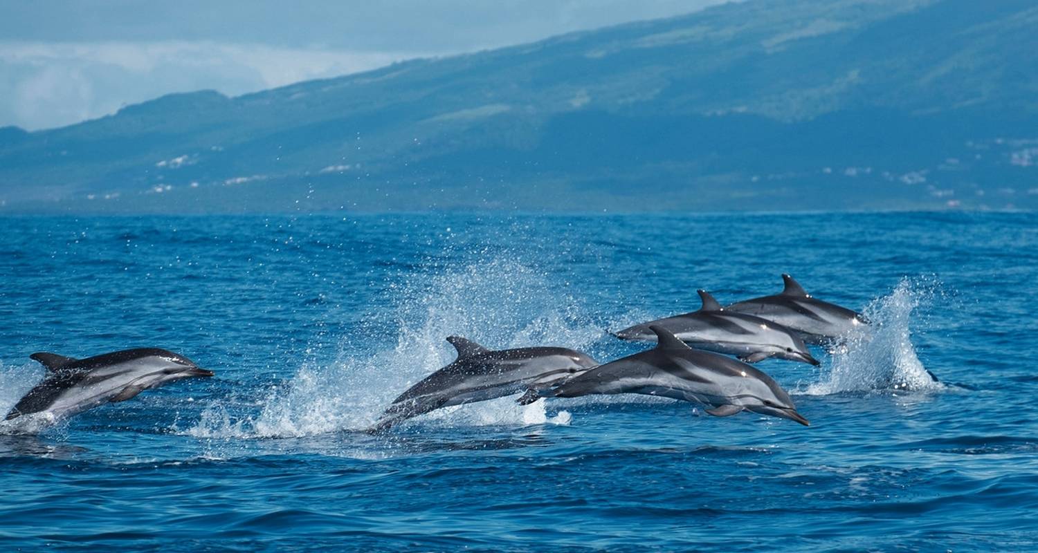 Conducción autónoma circuitos en Archipiélago de las Azores
