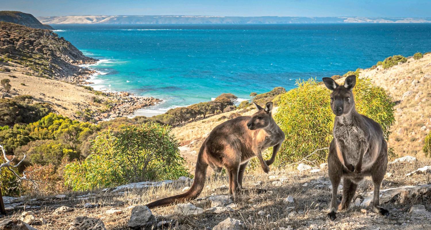 Circuits Australie méridionale en Janvier 2026