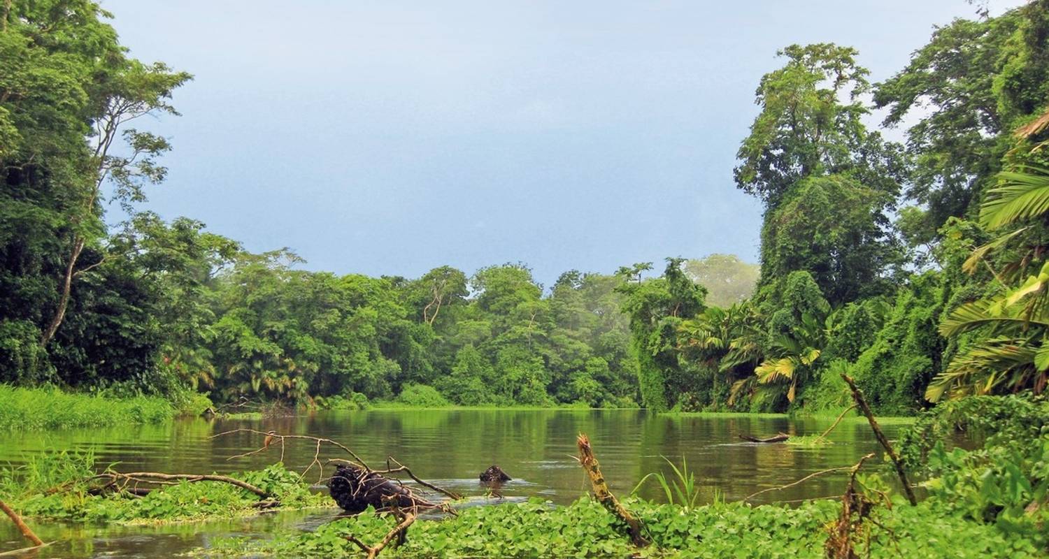 Excursión por el Caribe y la selva - DERTOUR