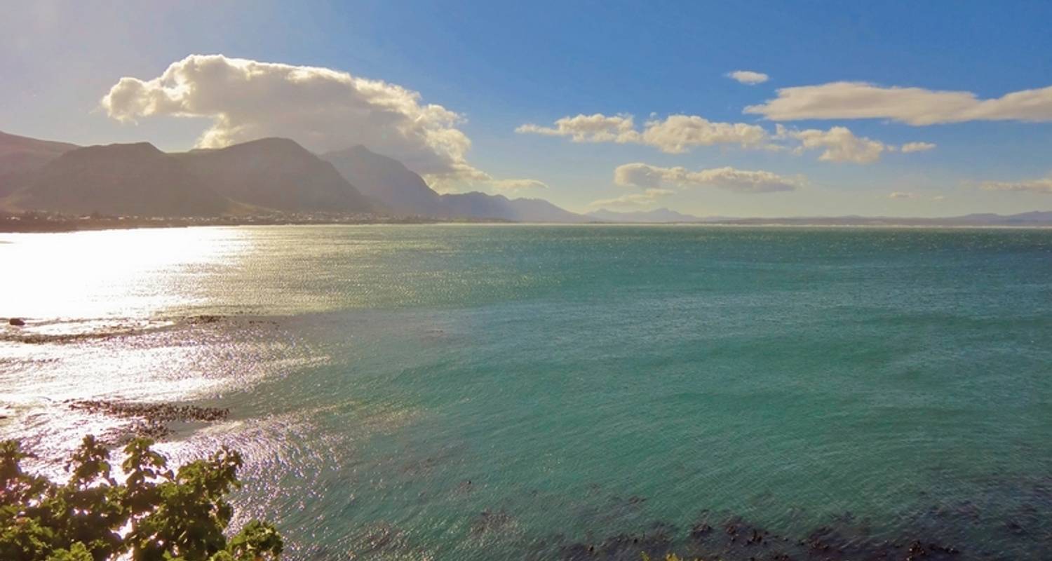 Cape in Style (ab Kapstadt/bis Gqeberha (Port Elizabeth)) - DERTOUR