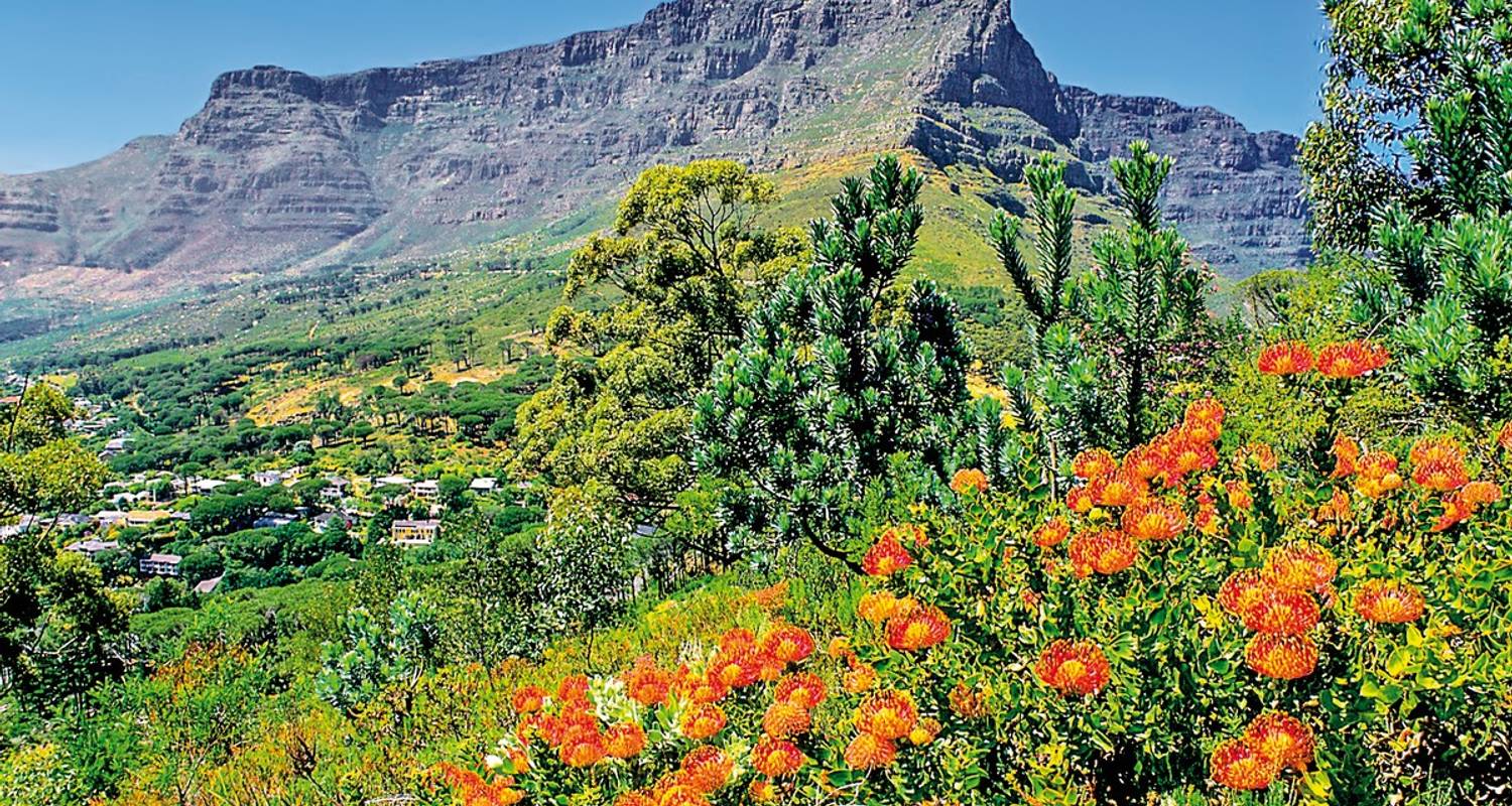 10 Tage Südafrika Rundreisen