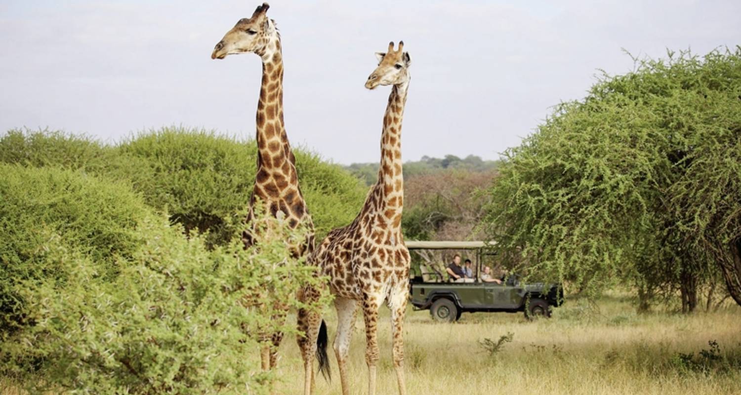 Singlereisen in Kruger