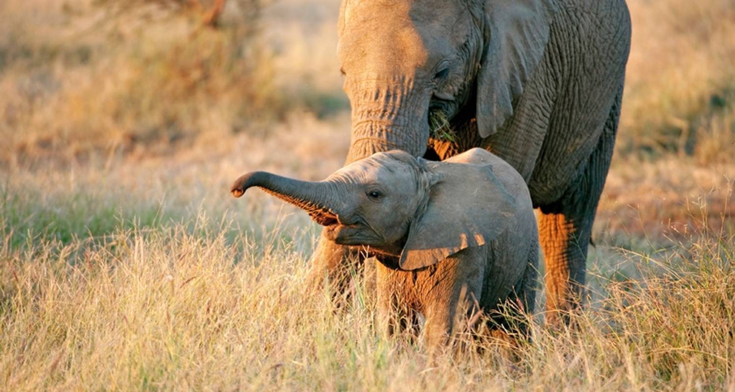 Südafrika Rundreisen 14 Tage