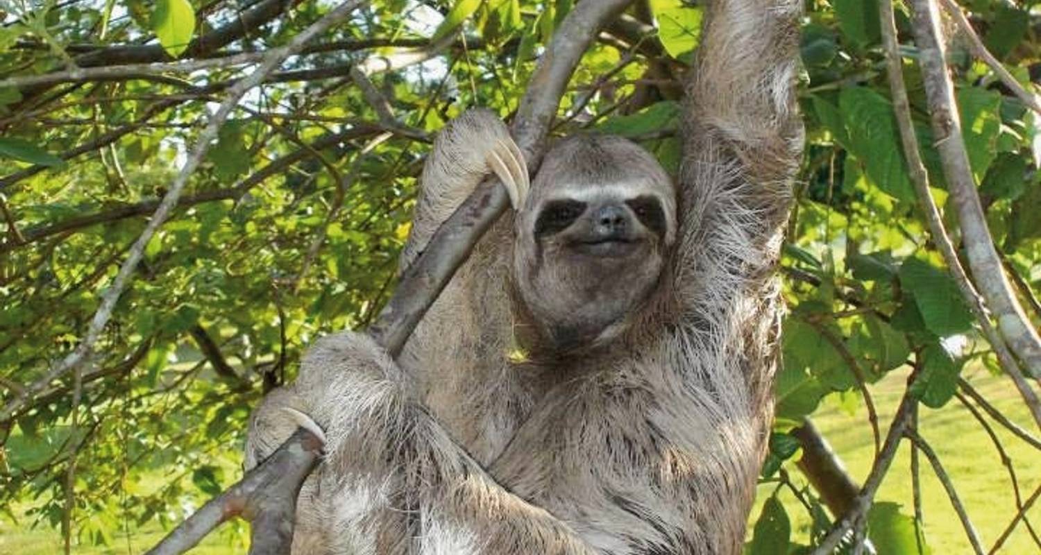 Les hauts lieux du Costa Rica (14 nuits) - MEIERS WELTREISEN