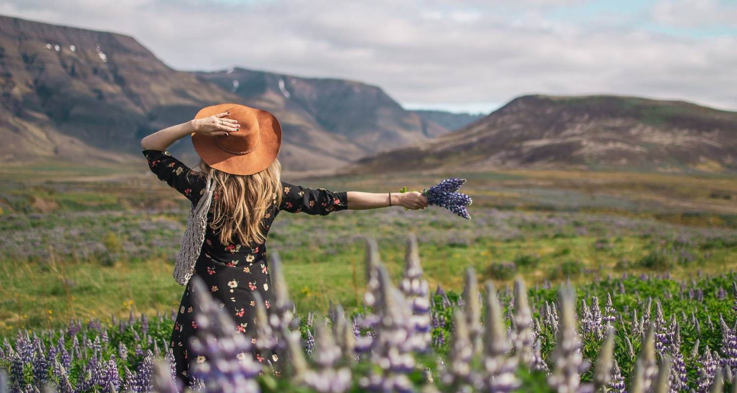 Circuit express de l'Islande - 6 jours - en autotour - Snaeland Travel