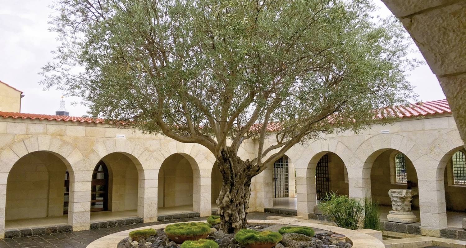 Singlereisen in Israel