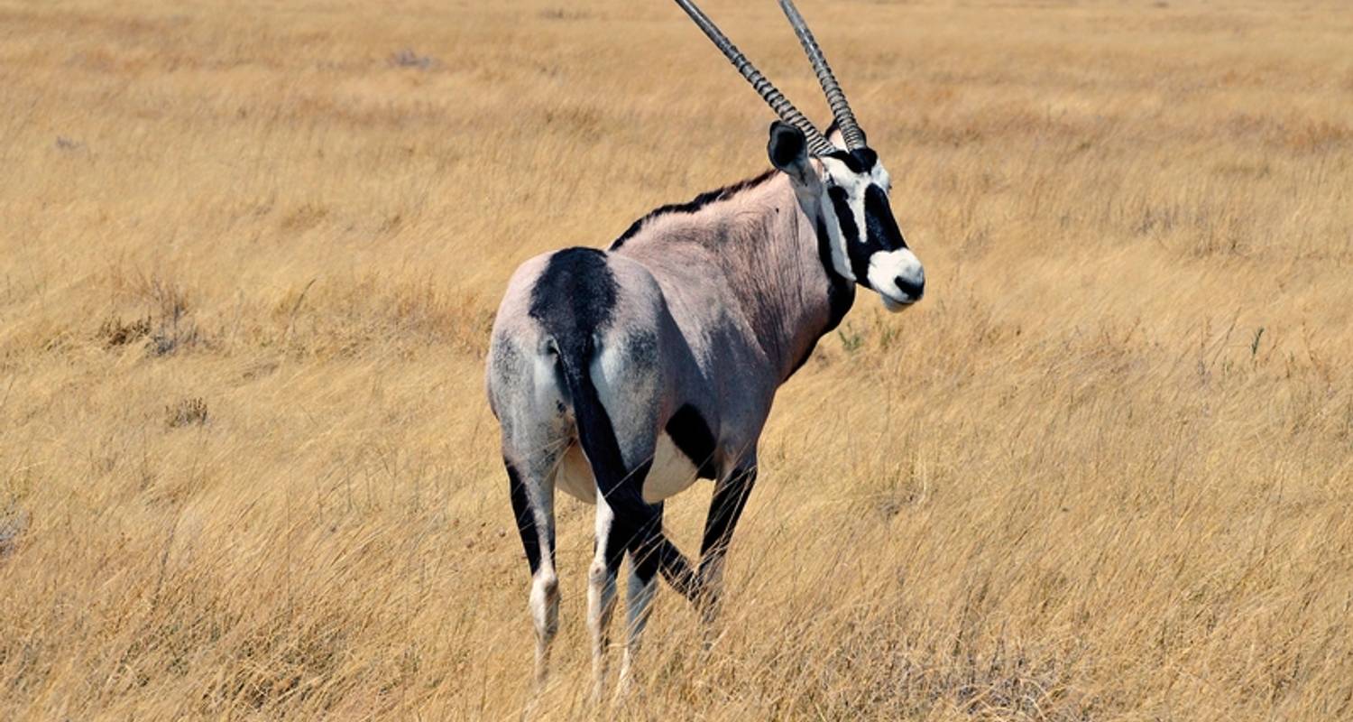 10 Tage Namibia Rundreisen