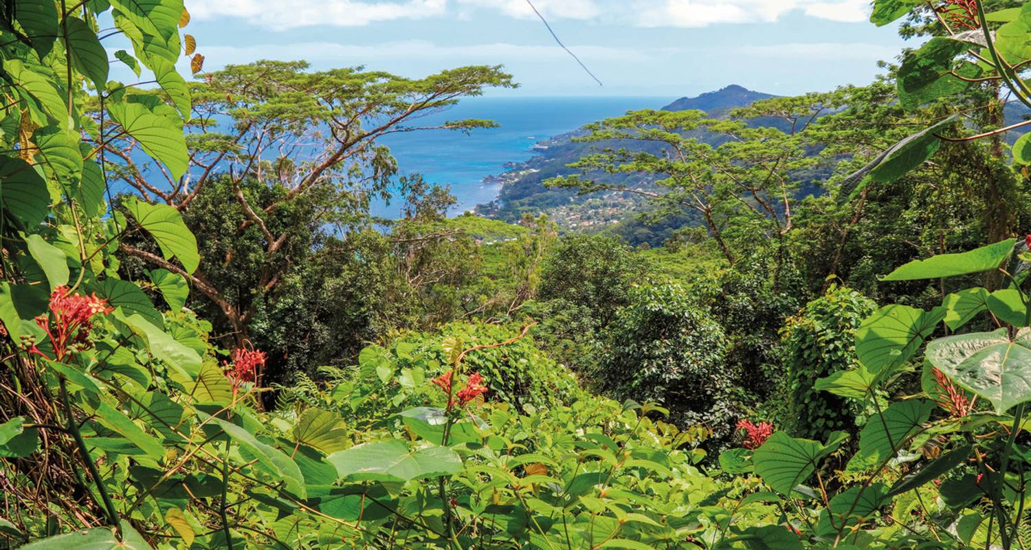 Singlereisen auf den Seychellen