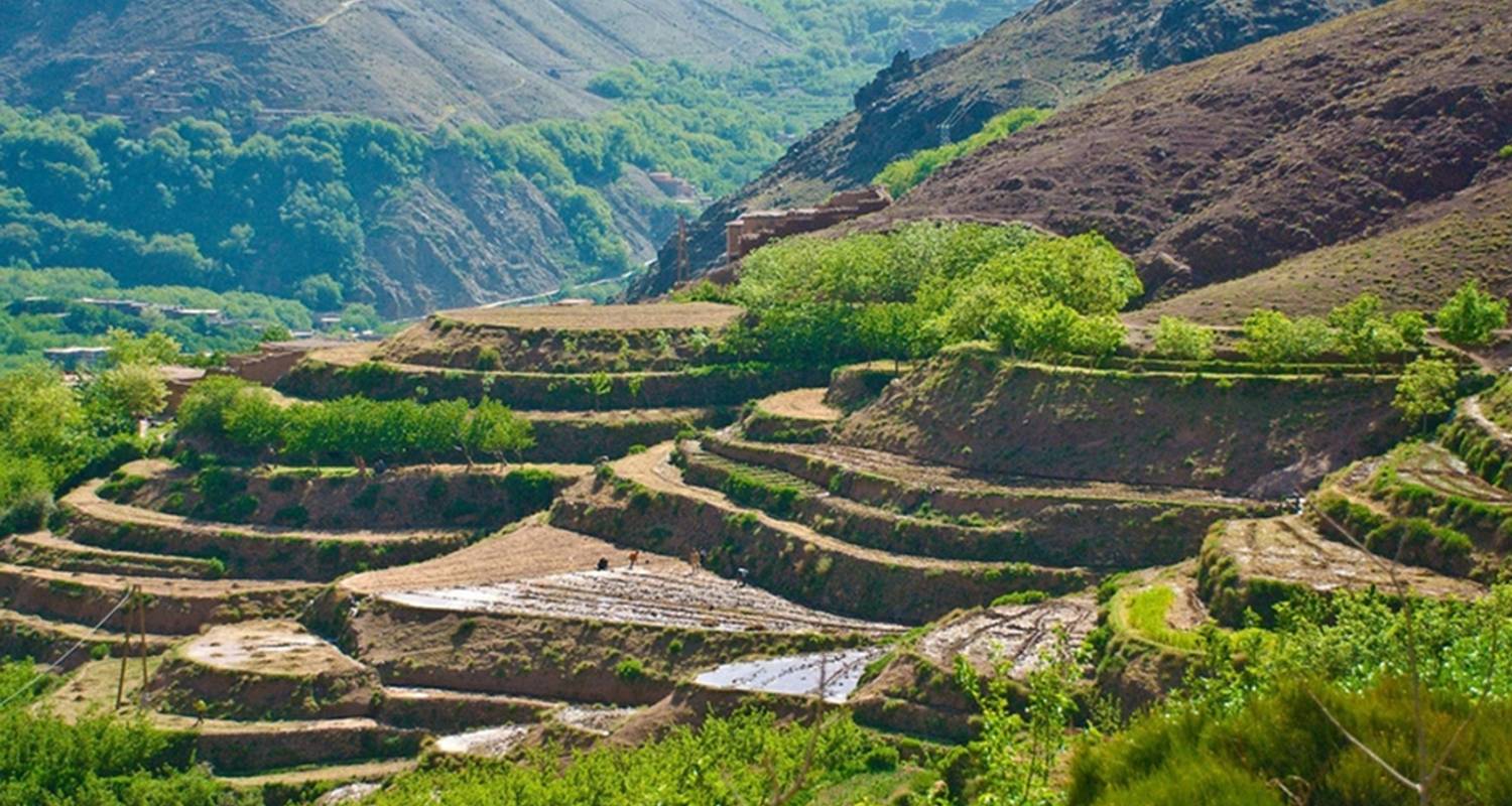 Montañas del Atlas y Valle de Imlil: Aventura Privada de un Día - My Morocco Tours