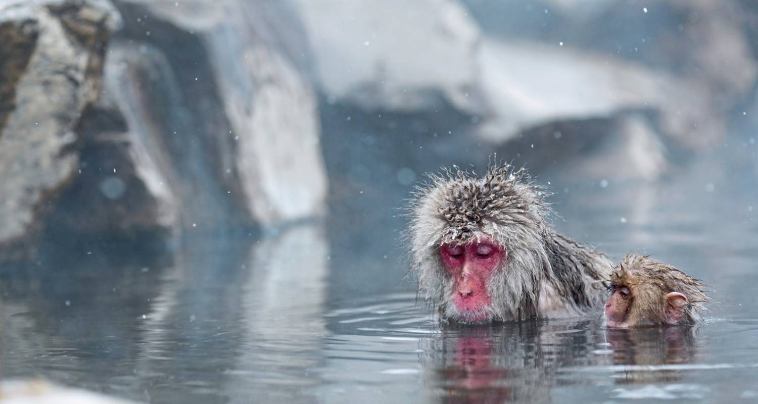 Japan Rundreise im Juli 2026