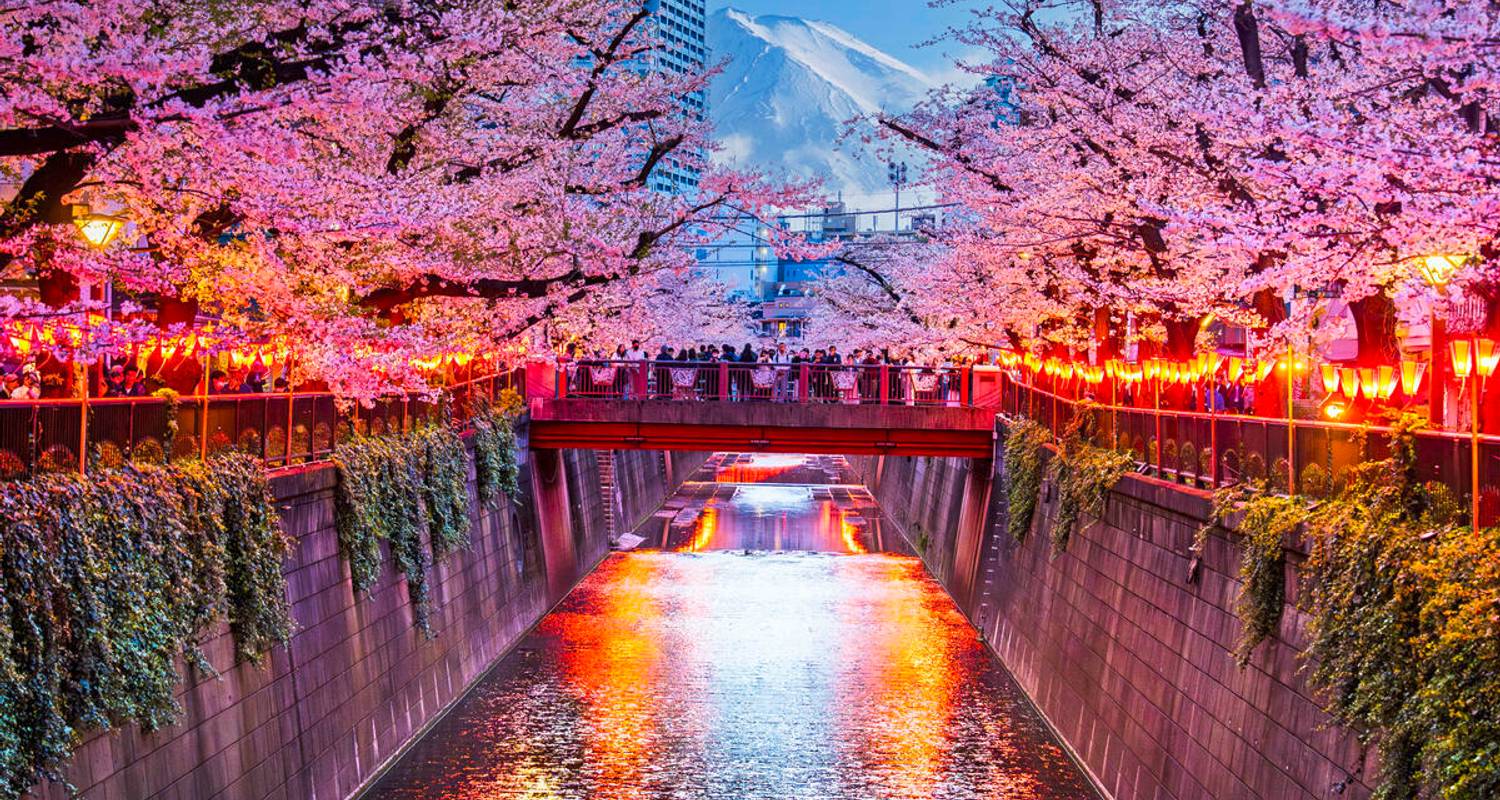 Singlereisen in Zentraljapan