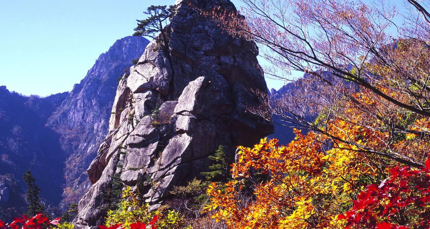 2-Weekse rondreis Zuid-Korea