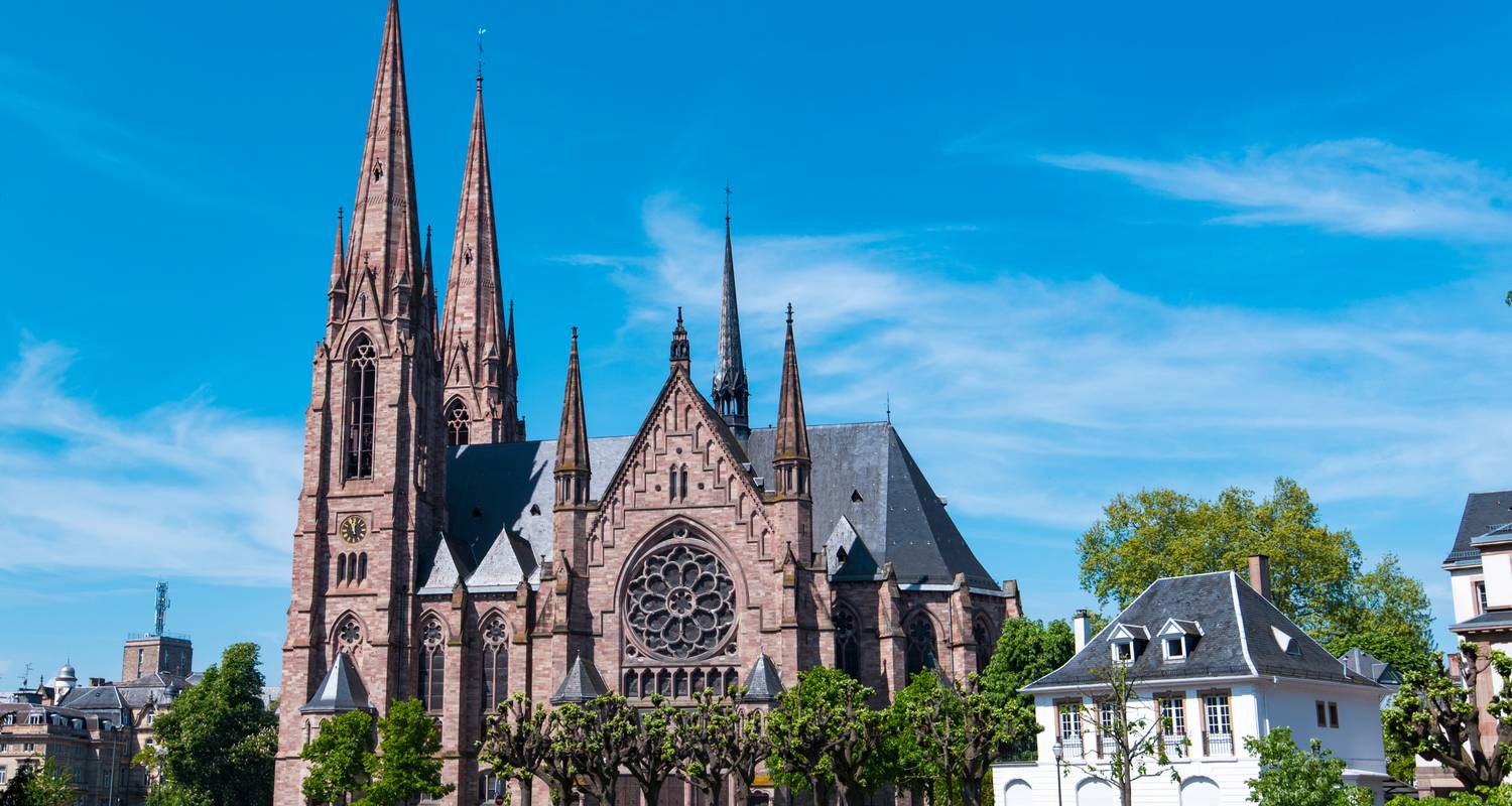 Main River Cruises for Seniors