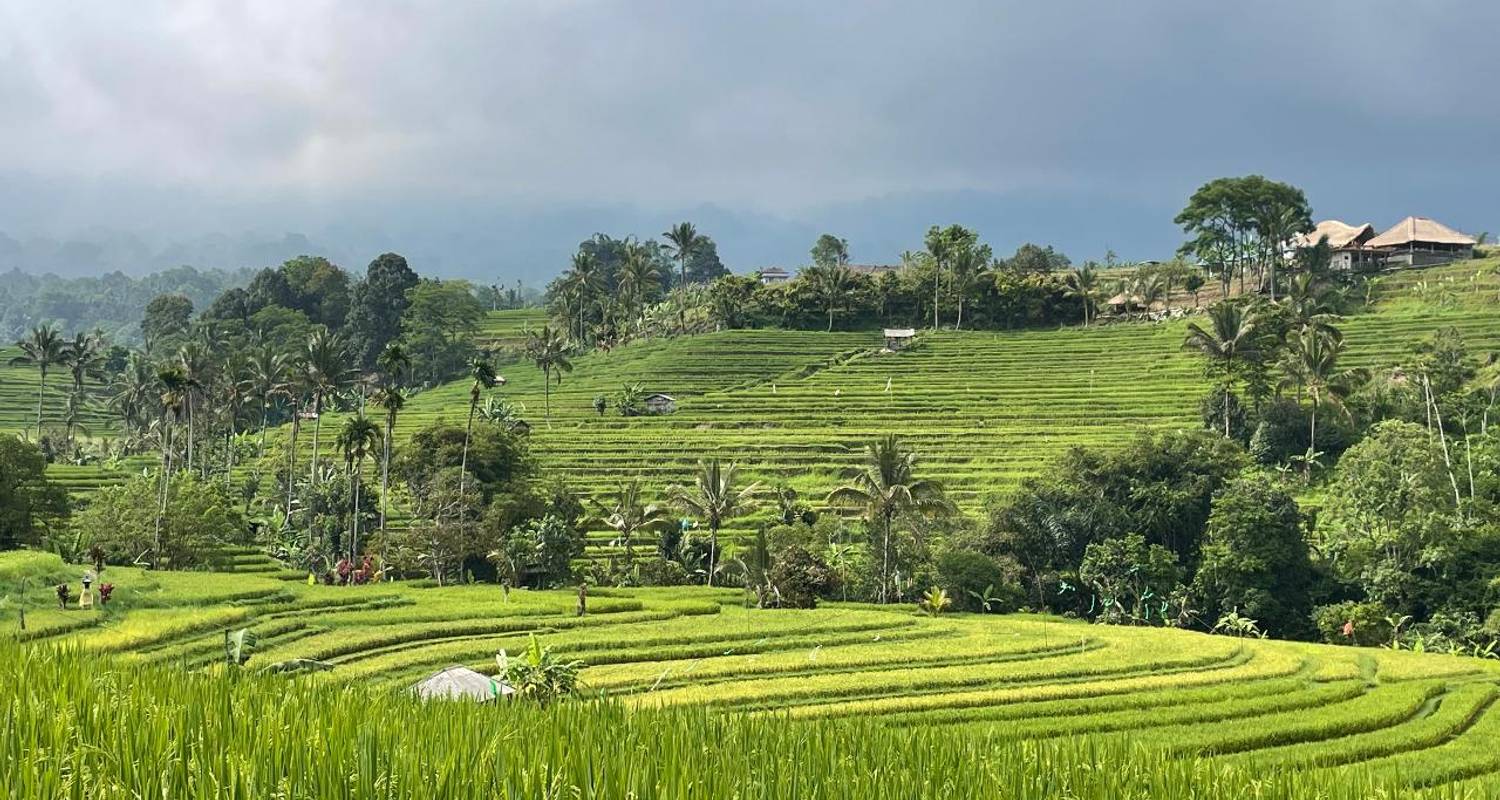 Bali - L'île de l'inspiration - Discover Corps
