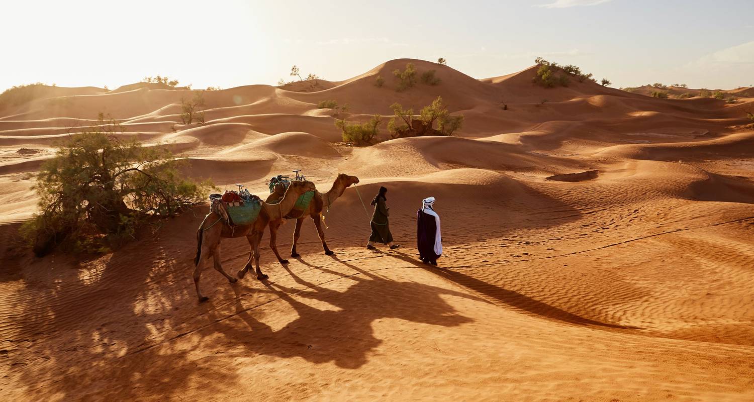 Circuito de 12 días por Marruecos de Casablanca a Marrakech: El mejor Circuito de 12 días - Moroccan Best Tours